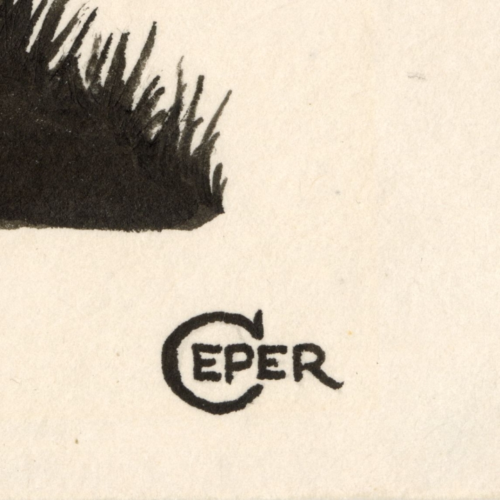 sygnatura artysty - CEPER