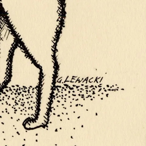 sygnatura artysty - G. LEWACKI